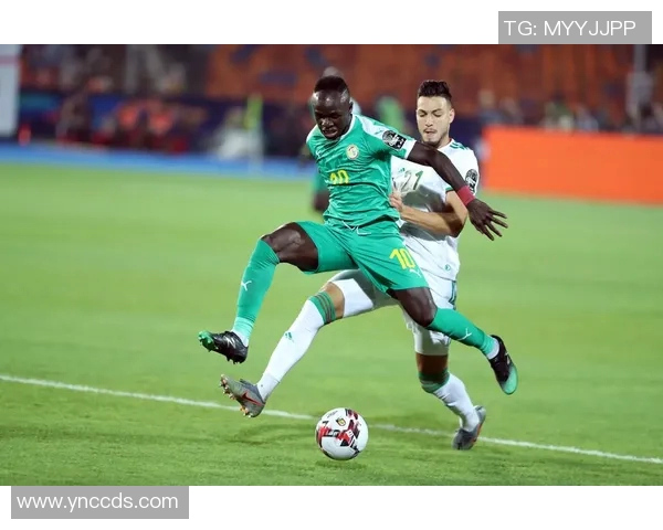 杭州足球队引领最新足球技术TOP10榜单解析与展望